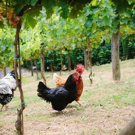 Agriturismo Mareli ファームステイ カマイオーレ