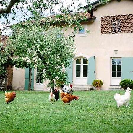 Agriturismo Mareli Camaiore